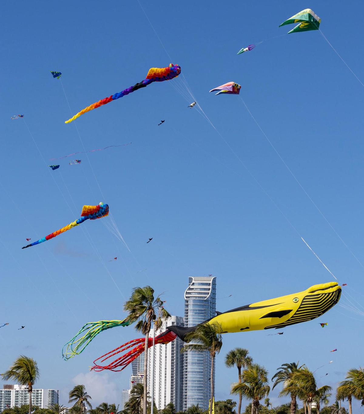 Kites fly over Haulover Park during the 33rd Annual Kite Festival in Northeast Miami-Dade on Saturday, Feb. 15, 2025.