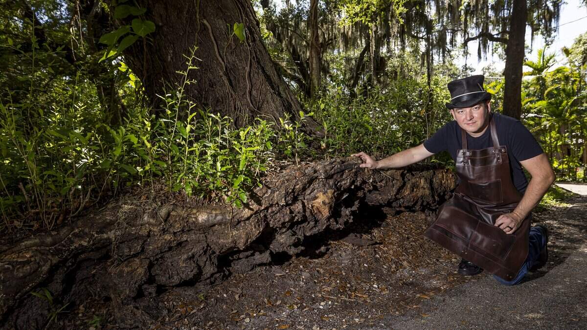 El Portal village council member Charles Winters, wearing the apron from his day job as a maker and restorer of stringed musical instruments, shows off the edge of a preserved prehistoric Tequesta Indian burial mound across the street from his home and workshop.