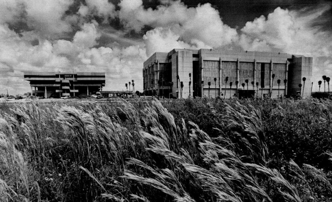 Towering over the weeds of the old Tamiami Airport at Southwest Eighth Street and 107th Avenue stand the first buildings of the Florida International University campus in 1972. FIU opened in September 1972 with about 5,000 students. The students were juniors, seniors or grad students only