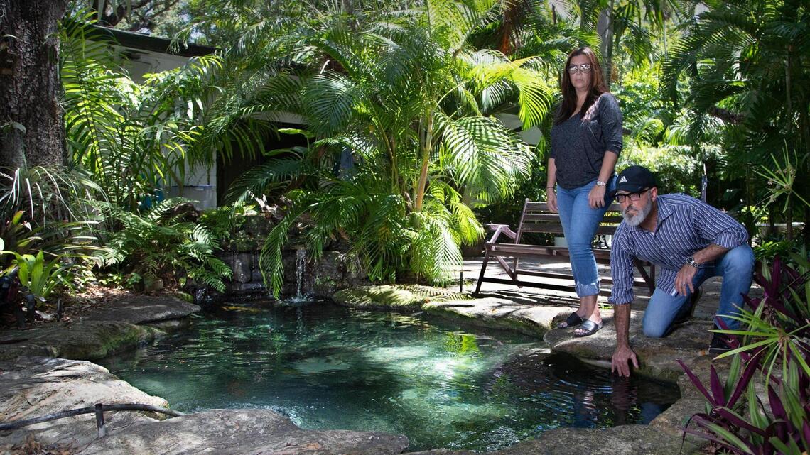 ‘They were my babies.’ Koi fish are mysteriously dying in a Coconut Grove neighborhood.