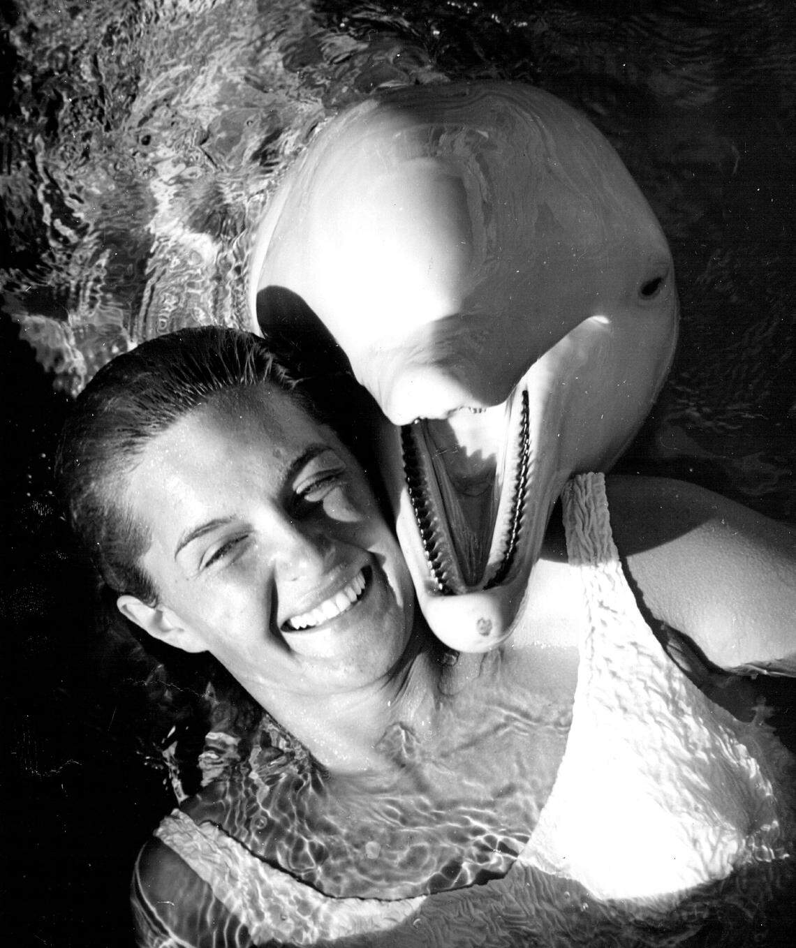 "Carolina Snowball," the only albino porpoise in captivity, at the Miami Seaquarium in the 1960s.