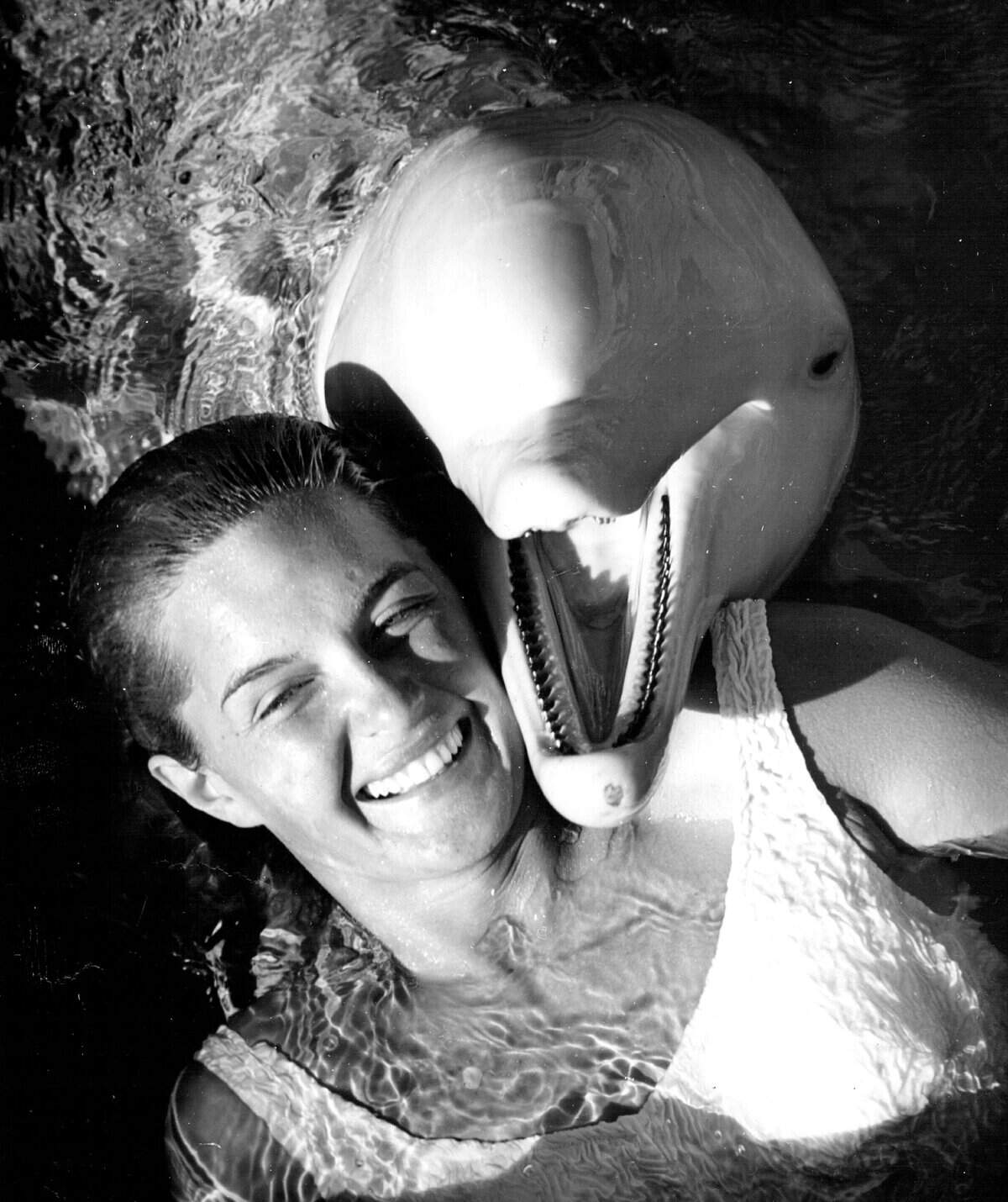 "Carolina Snowball," the only albino porpoise in captivity, at the Miami Seaquarium in the 1960s.