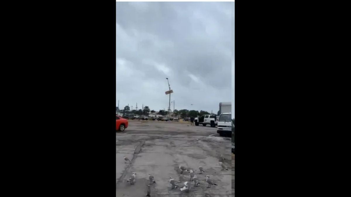 After a tornado hit the area early on Oct. 12, 2023, in Dunedin Florida, a local man took a picture of portable toilet door stuck on a light pole outside a McDonald’s/COURTESY BRAD NAPOLI