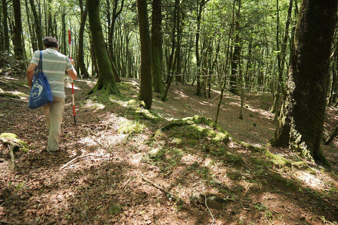 Roman weapons have been discovered along what remains of the wall, officials said.