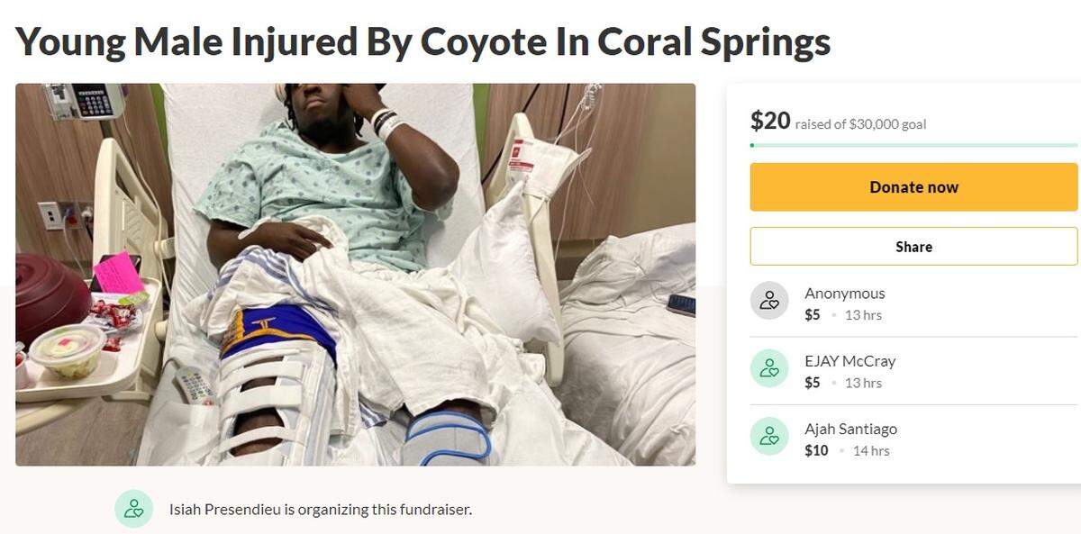 Isiah Presendieu set up a GoFundMe page on Feb. 26, 2020 while he was recovering at Broward Health Coral Springs. He said he was jogging in Three Mountains Natural Area on Feb. 25 when a coyote chased him. He fell and tore ligaments in his leg.