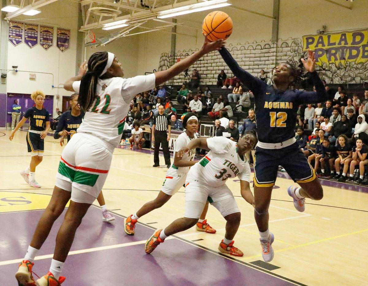 St. Thomas Aquinas Raiders Reina Green (12) and Blanche Ely Tigers Gianna Corbitt (22) battle for a rebound during the BCAA Big 8 Girls’ 2023 Basketball championship game on Saturday, January 28, 2023 at South Plantation HS in Plantation. Andrew Uloza / for Miami Herald