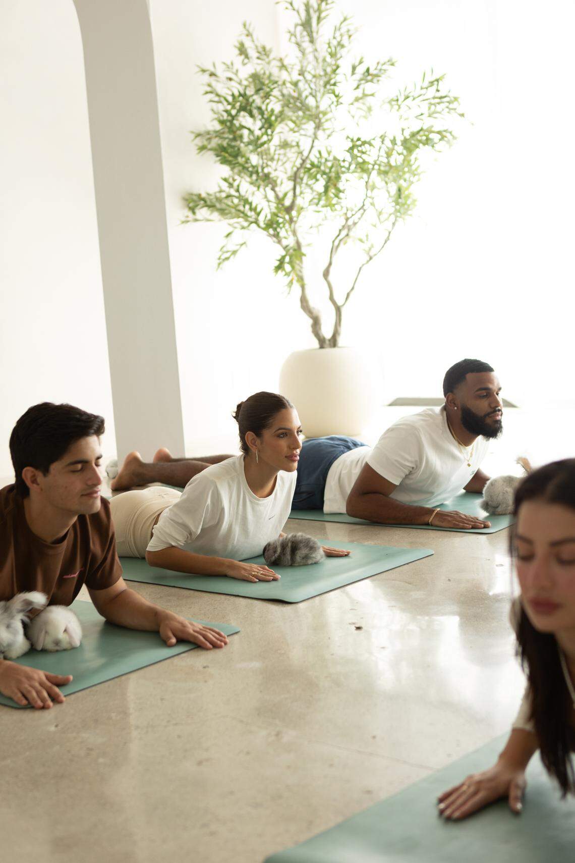 Yoga with bunnies? Yes please.