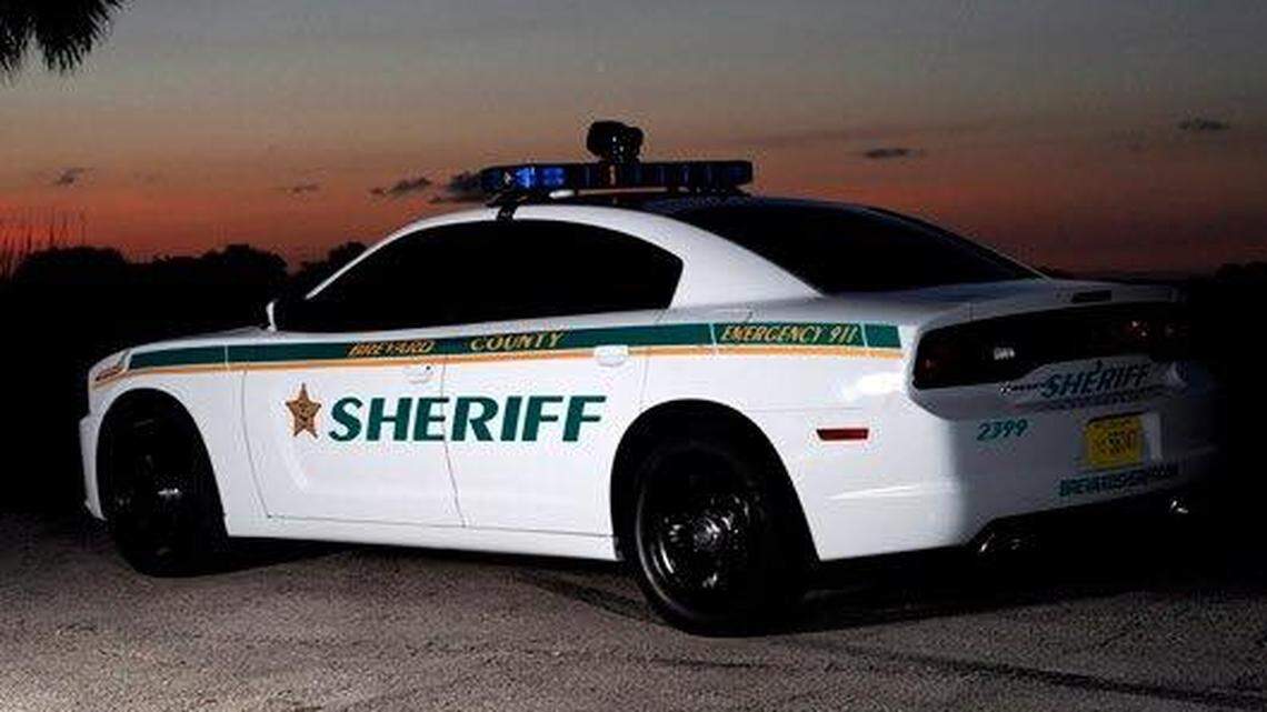 A Brevard County sheriff’s office patrol car was making funny noises and a mechanic later found a kitten was hiding near the front bumper.