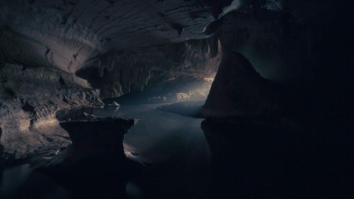 In the smelly water of an Iranian cave (not pictured), a tiny pink creature was discovered.