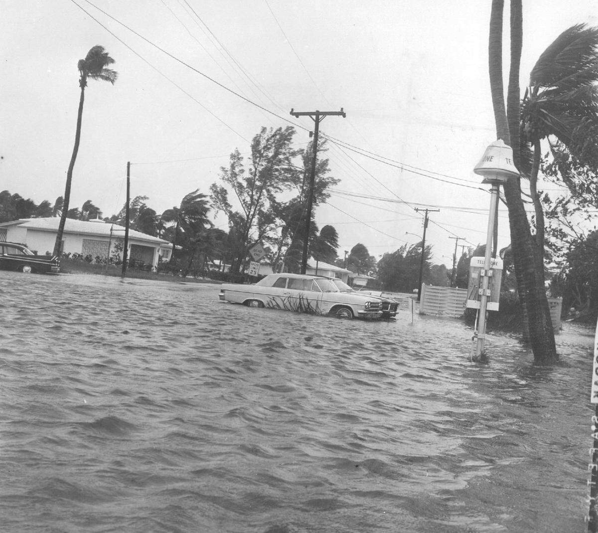 A flooded Florida street from Hurricane Betsy.