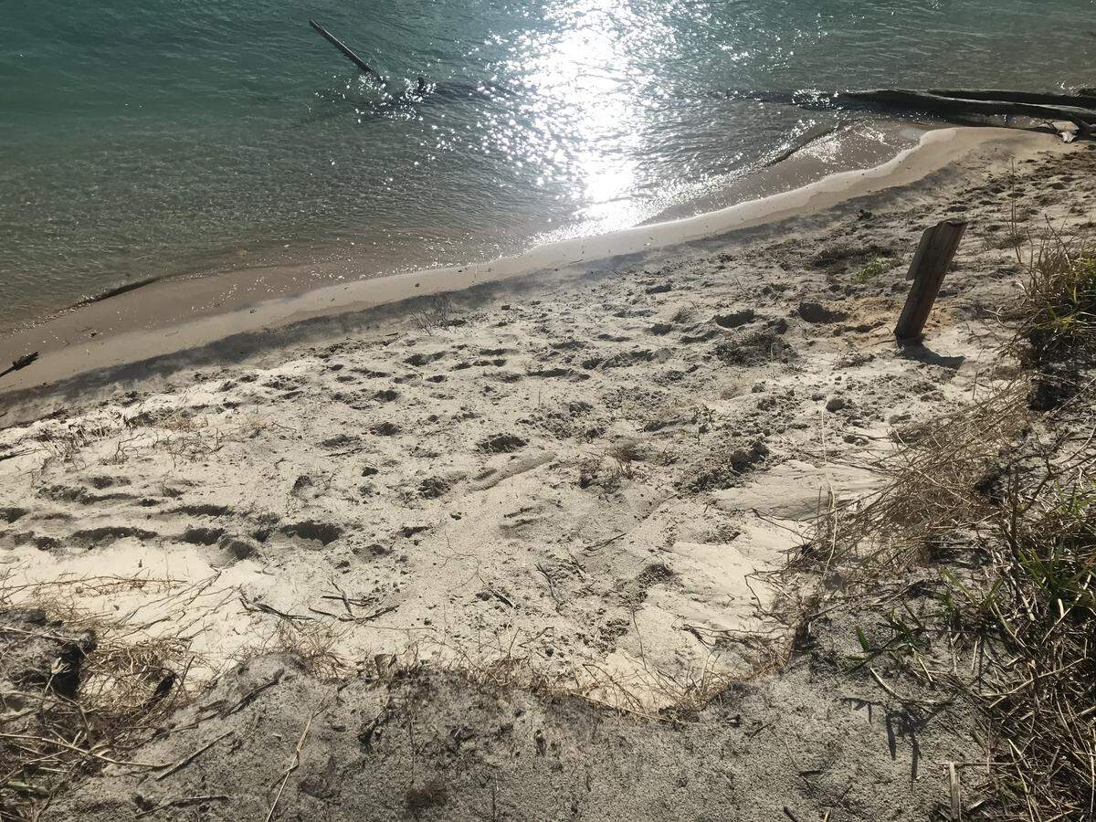 Footprints along the sand show where visitors have been contributing to erosion along the more vulnerable areas of the lighthouse site.