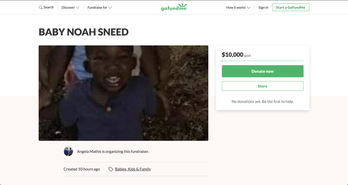 A screen shot of the GoFundMe started July 29, 2019 by Angela Mathis who is friends with the mother.
