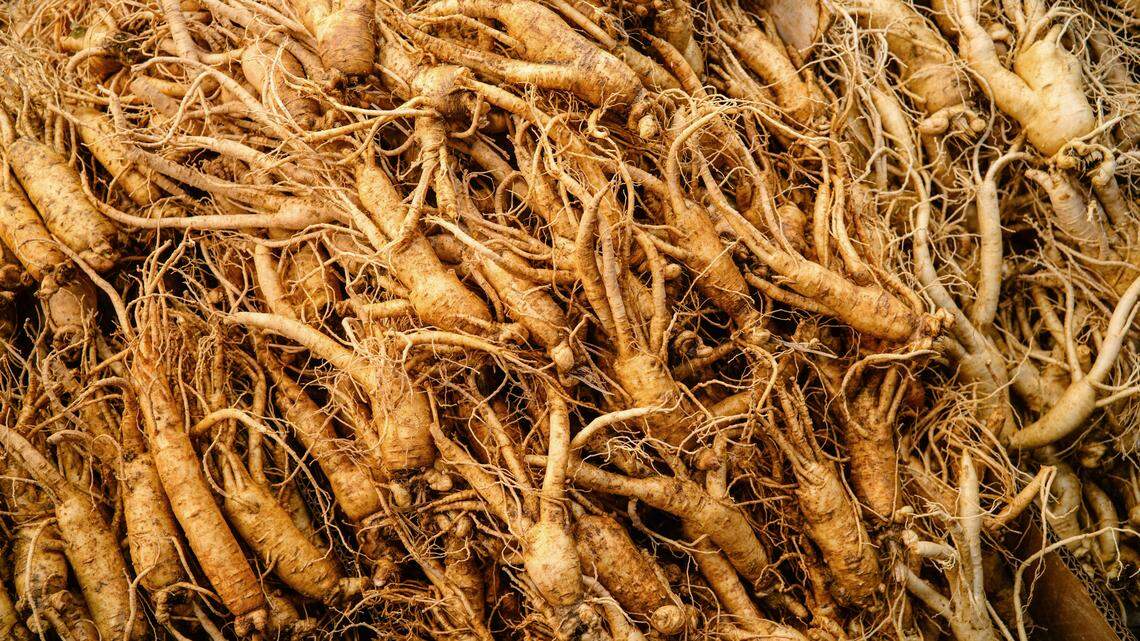 Feeling Overwhelmed? Here Are 12 Adaptogens That Can Help Your Body Manage Stress