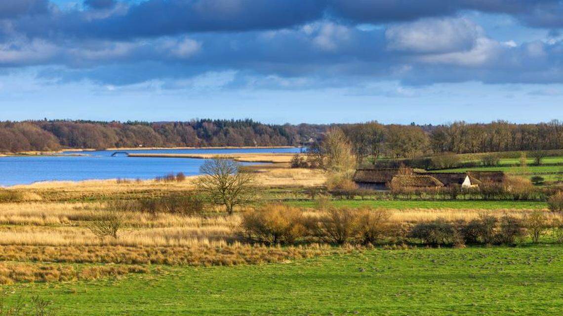A man learning to use a metal detector near a Viking-era trade center in Busdorf found a hoard of gold buried by a traveler, photos show.