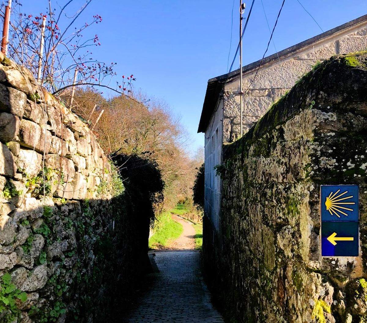 Las conchas y flechas amarillas señalan el camino a los peregrinos a lo largo de la antigua Vía Romana en el Camino de Santiago. Proporcionan orientación, inspiración y consuelo, pero, como en la vida, las marcas del camino no siempre son fáciles de encontrar.
