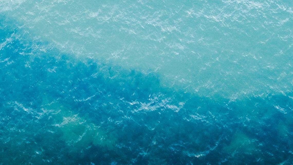 Experts believe there are fewer than 100 Rice’s whales left in the world, according to the National Oceanic and Atmospheric Administration.