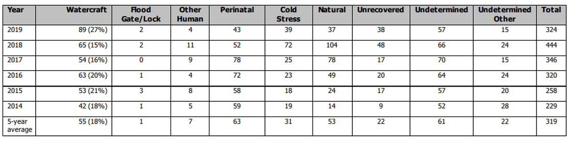 Manatee mortality comparisons for the time period from Jan. 1, 2019 to July 6, 2019. 89 of the reported 324 manatee deaths in 2019 — as of this period — were caused by watercrafts, compared to 65 watercraft deaths in 2018.