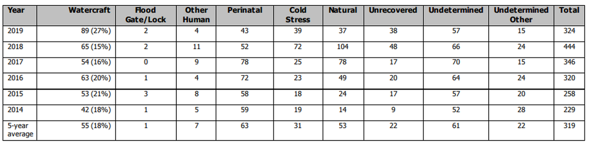 Manatee mortality comparisons for the time period from Jan. 1, 2019 to July 6, 2019. 89 of the reported 324 manatee deaths in 2019 — as of this period — were caused by watercrafts, compared to 65 watercraft deaths in 2018.
