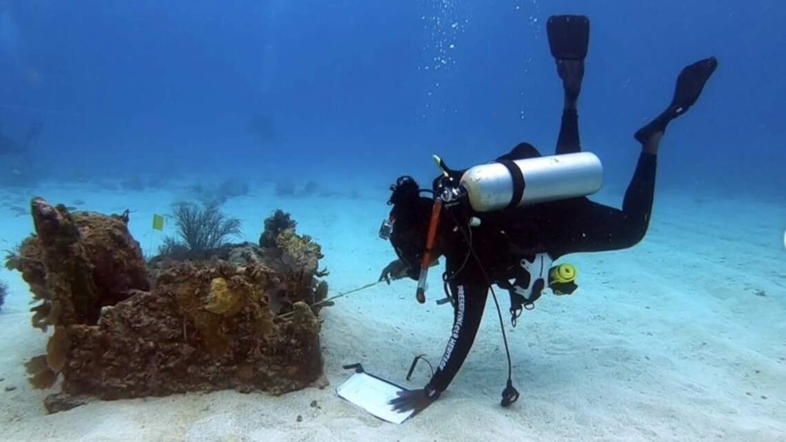 Diving for history: Genealogist searches for wrecks of slave ships in Keys