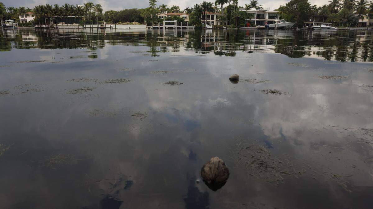 King tide causes the water in the bay to rise to the level of sidewalks on Tuesday, Sept. 9, 2025 in Miami Beach, Fla.