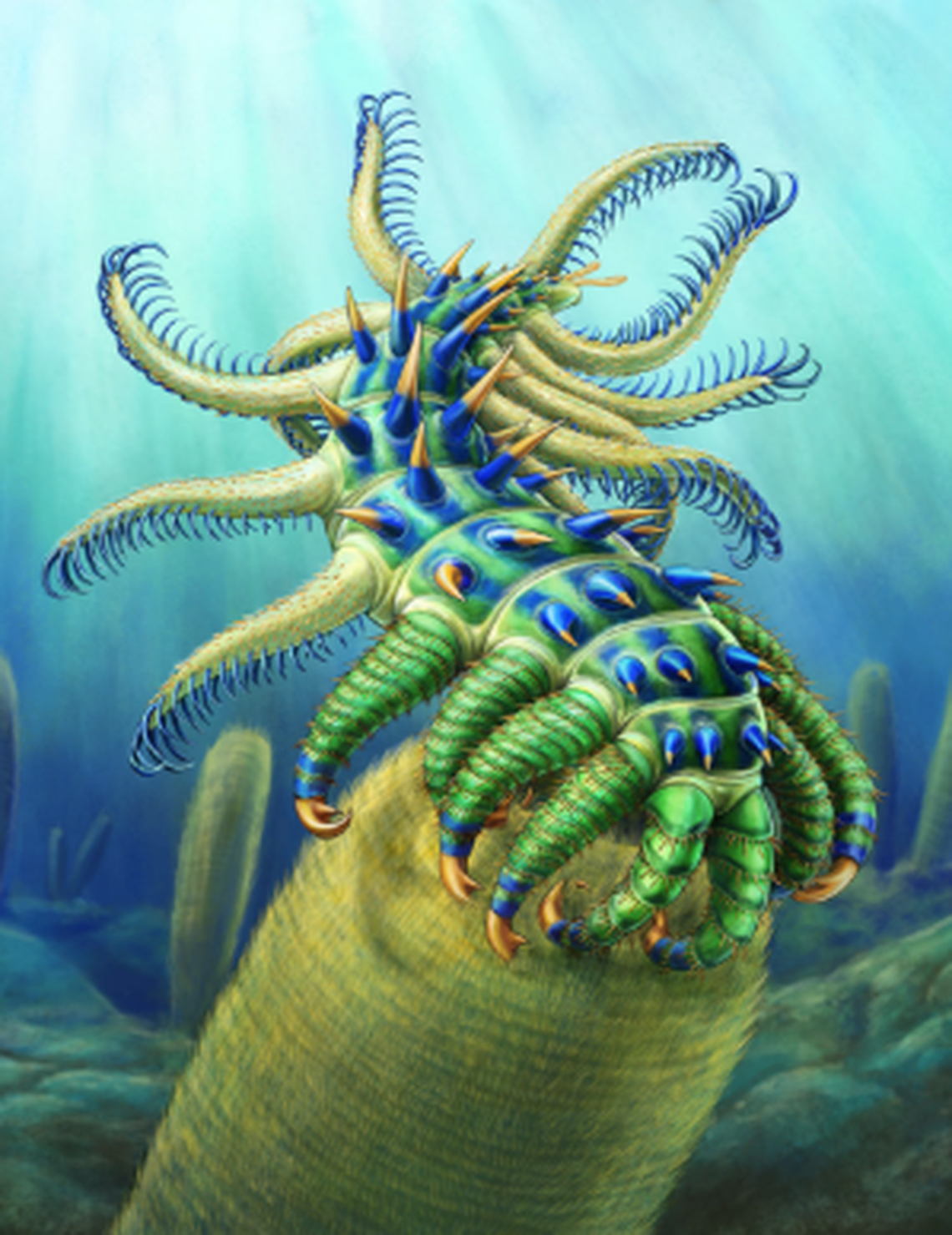 The small creature may represent an important evolutionary step that led to modern-day animals.