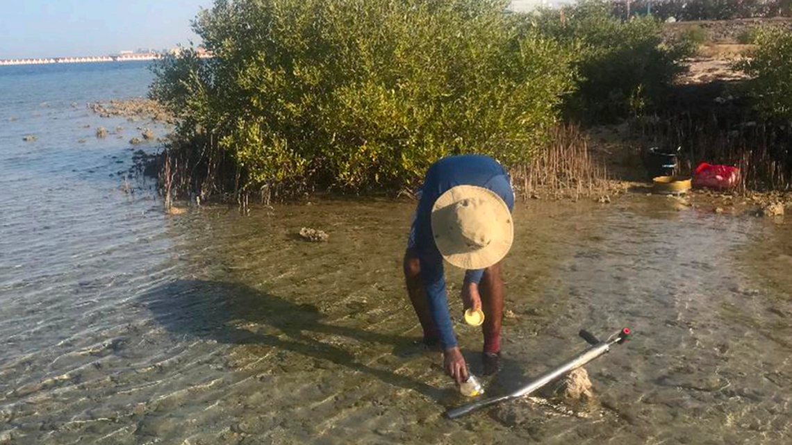 Researchers identified a tiny new species on the Arabian peninsula.