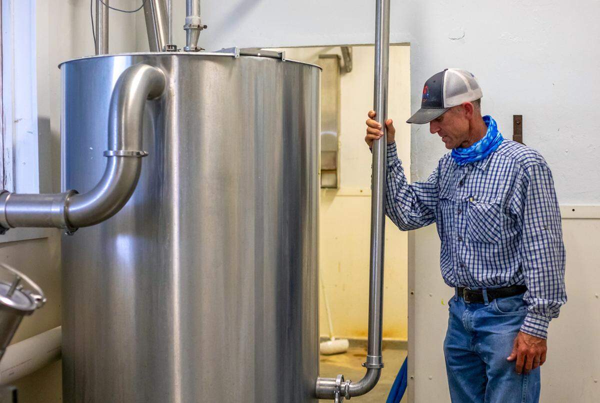 Jacob Larson muestra las tuberías de acero inoxidable que enfrían y filtran la leche de las vacas lecheras. Larson aprendió a ser productor lechero gracias a la tutoría de su abuelo, que puso en marcha el negocio familiar hace 75 años.