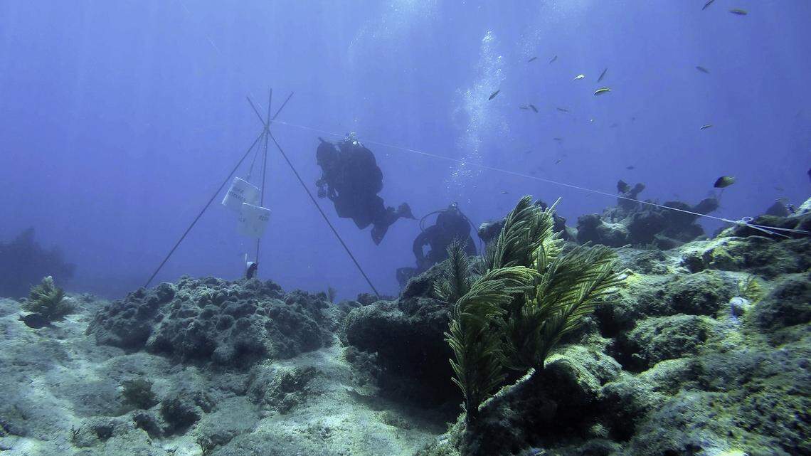 Researchers at Molasses Reef off Key Largo are documenting changes to the "Slobodna" shipwreck site, on the ocean floor, caused by Hurricane Irma. Recreational divers to the popular site are urged to avoid becoming entangled in the lines suspended between tripods.