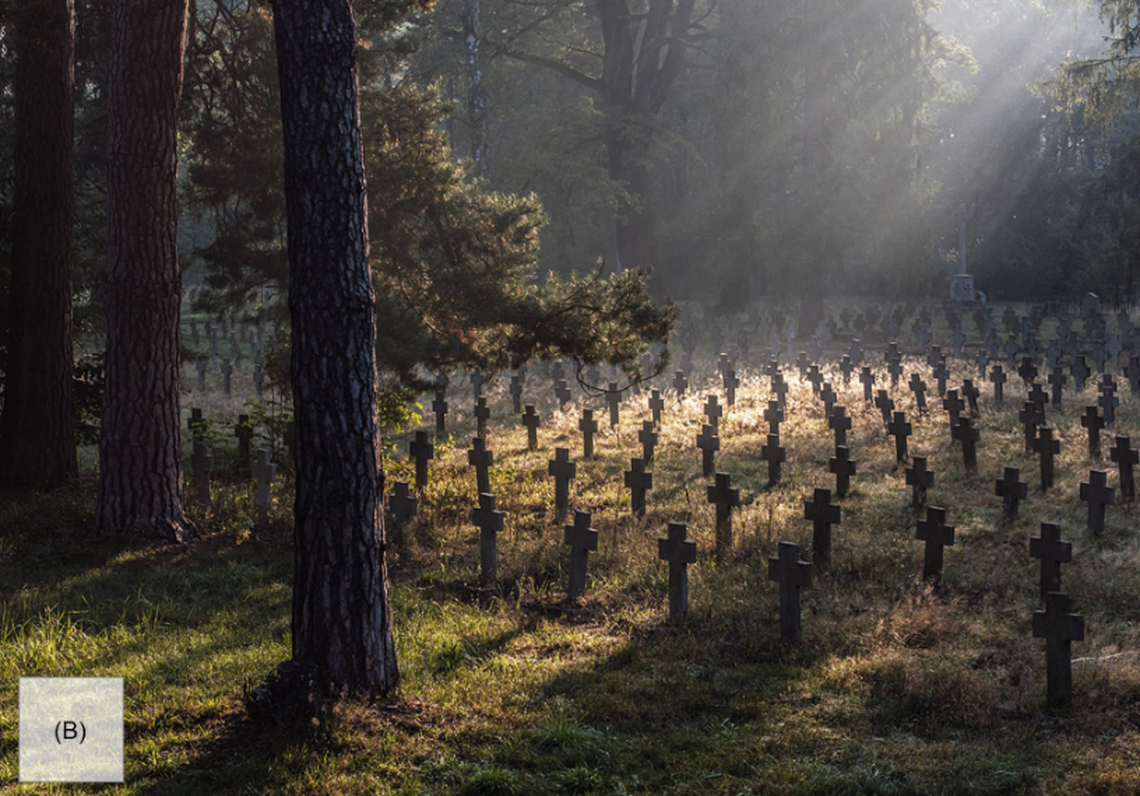 The land of former prisoner of war camps and resettlement camps has been converted to a museum in Poland.