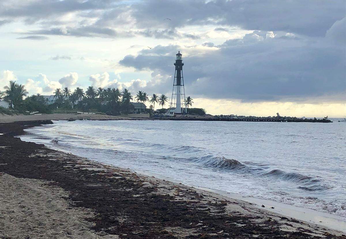 The stench of sargassum is unbearable on this stretch of Pompano Beach, Florida, lined with million-dollar homes and hotels.  Photo taken morning of June 15, 2019.