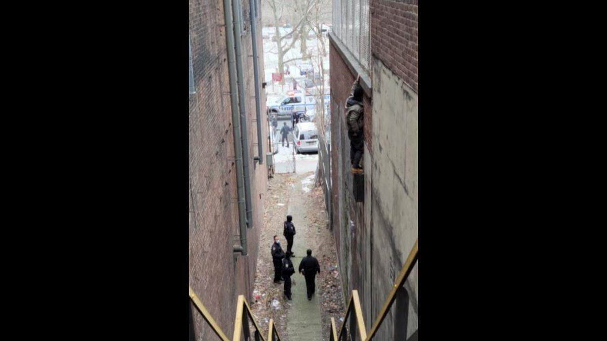 Anthony Pastore, 30, stole 8 pints of Haagen-Dazs ice cream from a New York City store Tuesday, but his getaway left him dangling over an alley, police say.