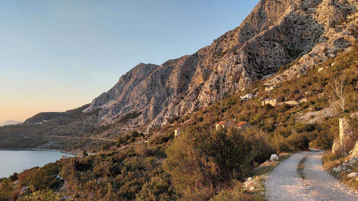 The new species was found in Croatia near the Mediterranean coast, researchers said.