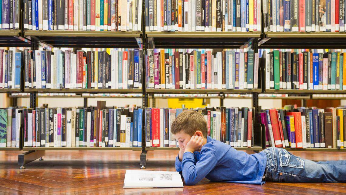 Florida now leads the country in book bans, new PEN report says. How did that happen?