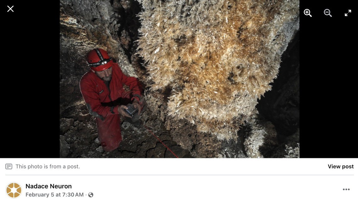 Researchers are continuing to study how this subterranean ecosystem is connected to the Albanian surface.