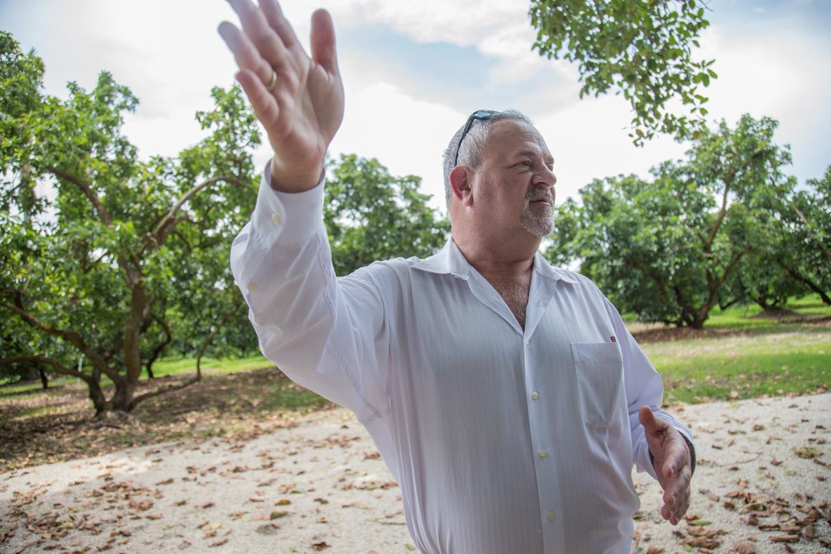 Steve Haas, executive director of the Miami Beach Convention Center and architect of Miami Spice food program, talks about on the upcoming Dinner Series project at TILT Farm in Redland, Florida, Tuesday, July 10, 2018.