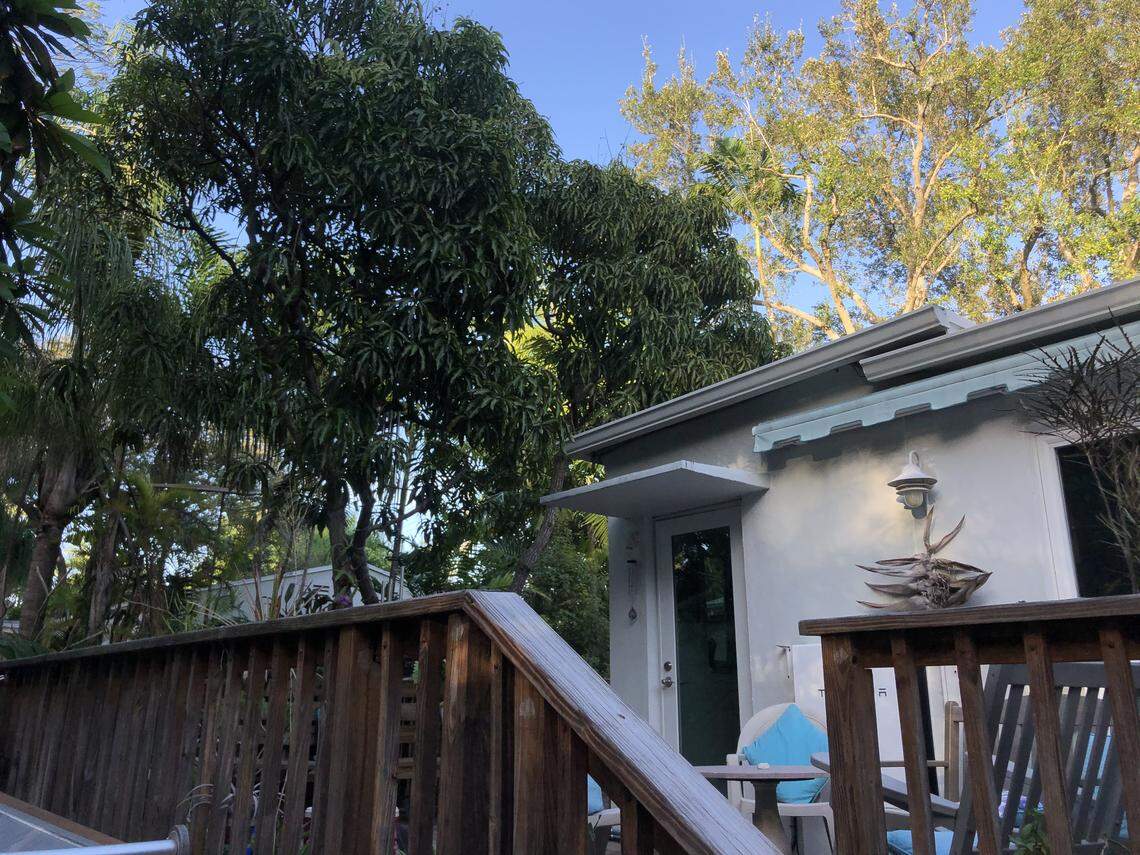 Sally Philips calls her South Miami home ‘the tree house.’