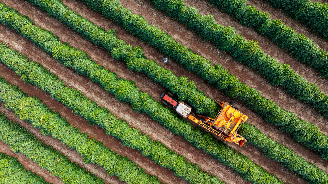 Is Regenerative Organic Certified better than organic? What this fast-growing food label really means