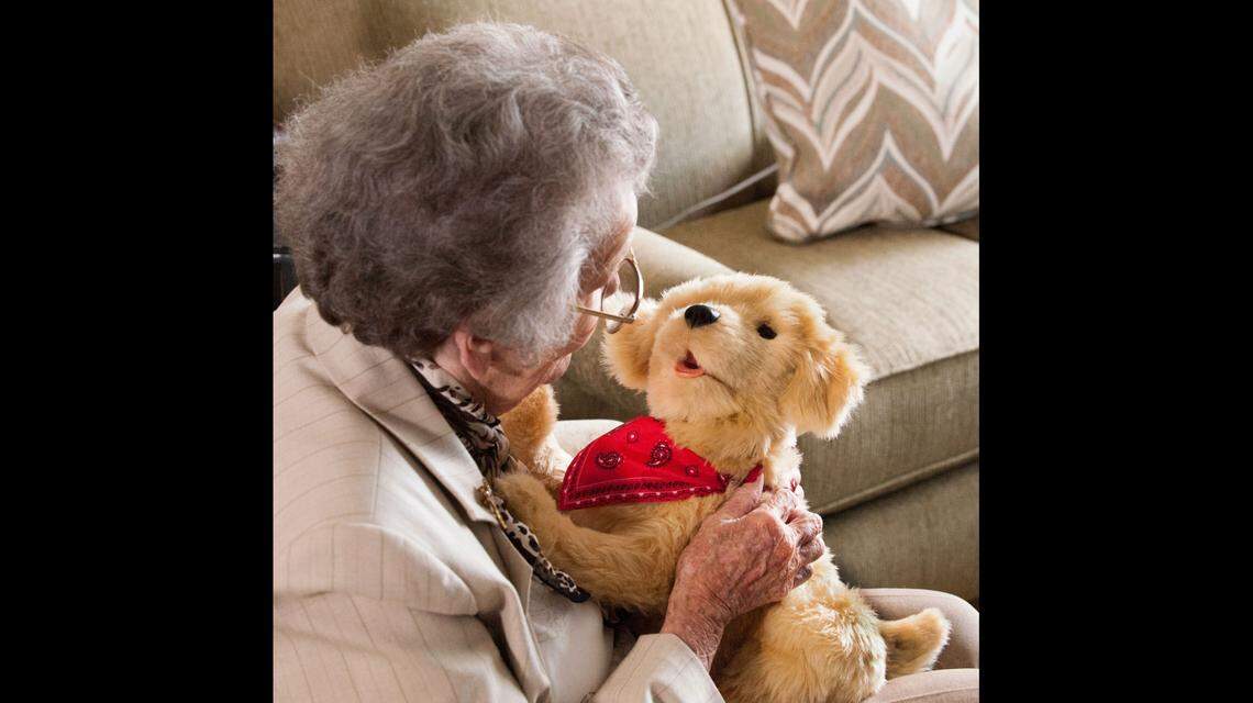 Florida’s Department of Elder Affairs is planning to deliver more than 375 robotic pets to socially isolated senior citizens and adults living with Alzheimer’s Disease and related dementia this week to help them during the COVID-19 pandemic.
