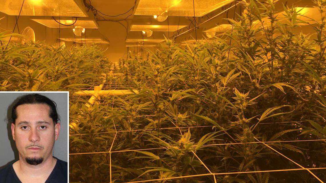 Daniel Vilallonga, from Miami, was arrested in April 2019 in Pueblo County, Colorado, after police say he was running an illegal marijuana grow house.