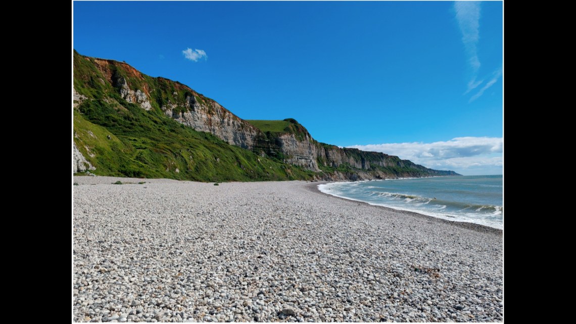 Along the Chalk cliffs of northern France, a new species of dinosaur was found in the stones.