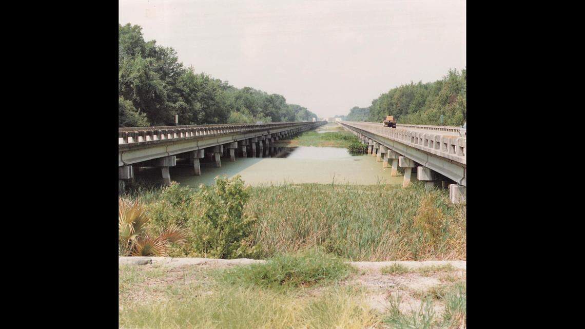 The body of a young woman was found under a bridge in a river in Florida in 1971. She was just identified.