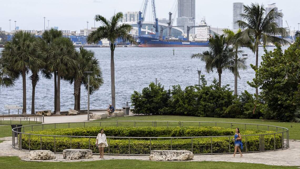 Miami’s forgotten ancient past is hiding beneath a Joe & the Juice. Yes, really