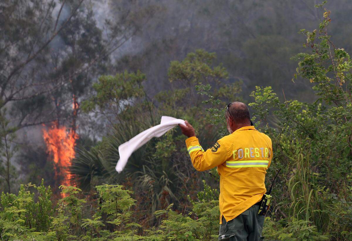 Florida Forest Service personnel monitor a wildfire just west of U.S. 1 and SW 344th Street while battling the blaze with helicopter water drops and ground crews on Monday, May 11, 2026, in Florida City, Fla.