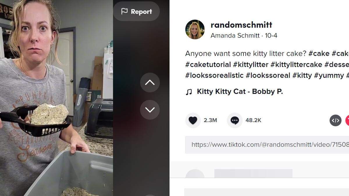 Kitty litter cake tutorial/Amanda Schmitt TikTok