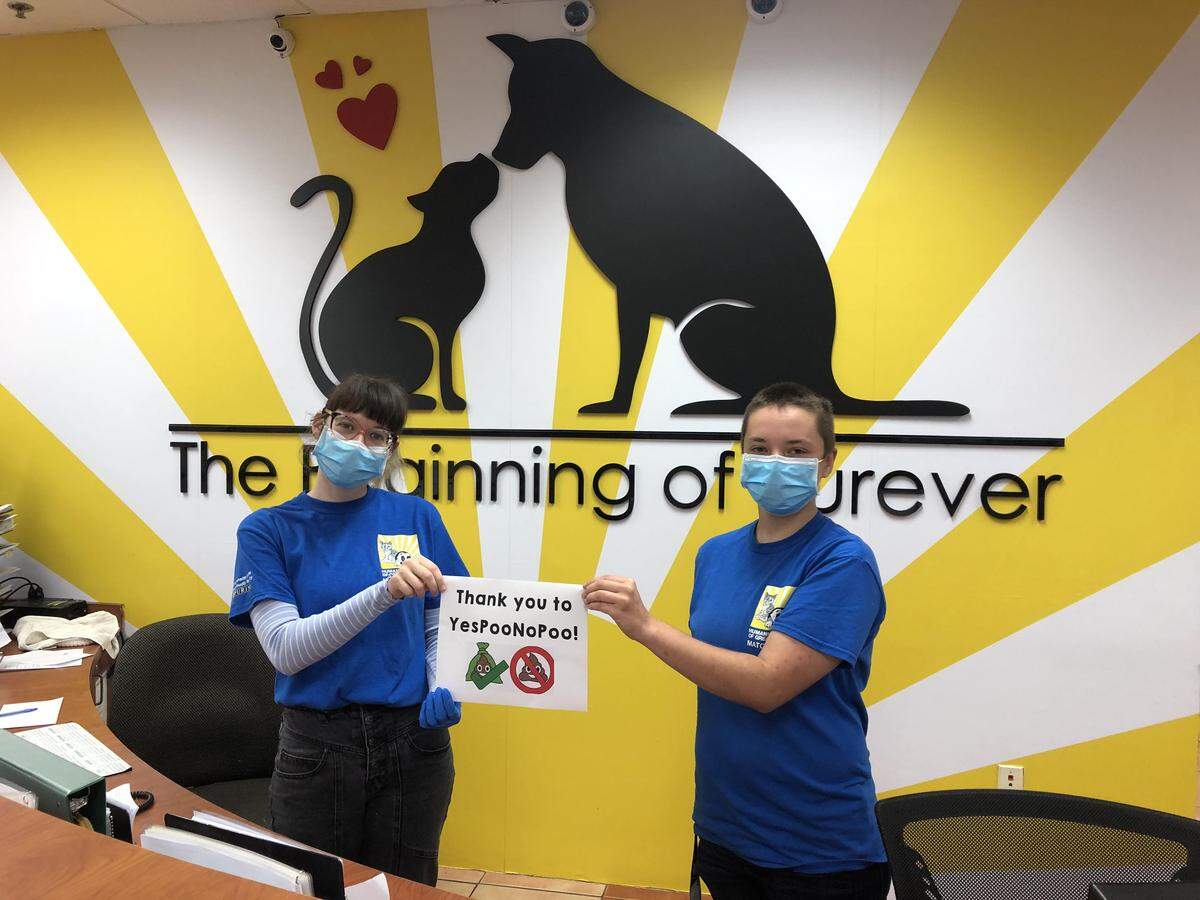 In early April, the Humane Society of Greater Miami received donated funds through Jaïm Steele’s “YesPooNoPoo” initiative that sells the $5 stickers he creates for Coconut Grove garbage cans.