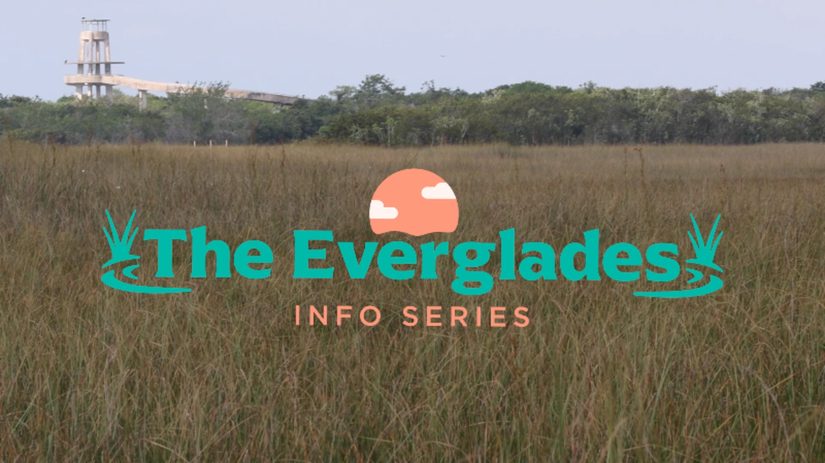A look at the Everglades: How old are they? When did they become a National Park?