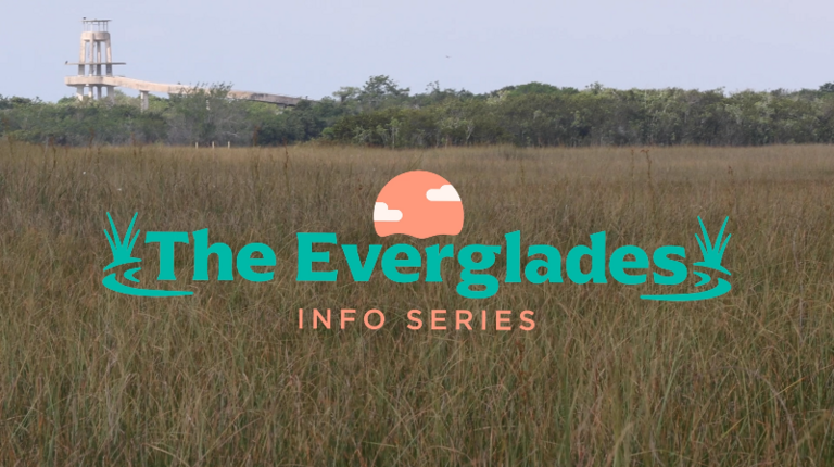 A look at the Everglades: How old are they? When did they become a National Park?