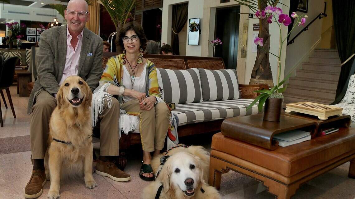 Miami luxury hotels have found their newest VIP — the pampered family dog