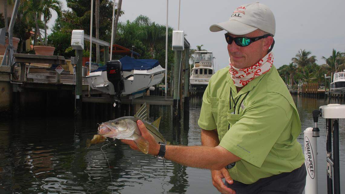 Snook season is underway as Miami-Dade and Broward-area anglers jump at chance