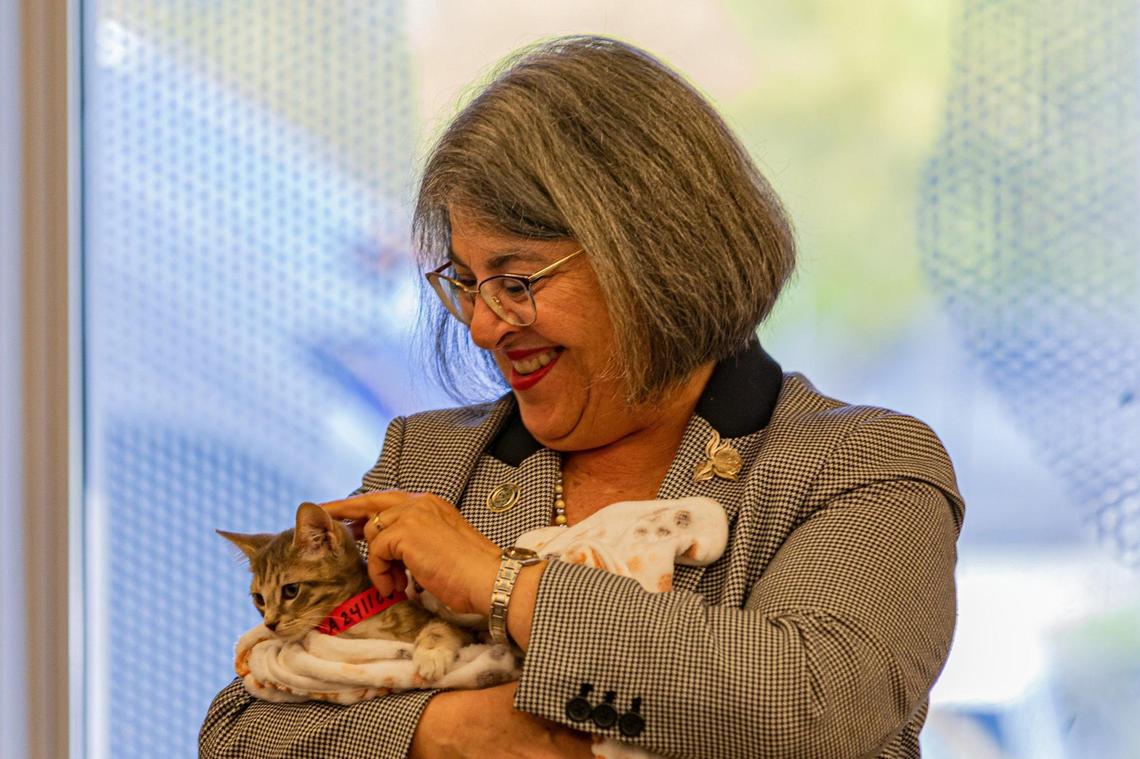 Mayor Daniella Levine Cava holds cat Tatiana during a press conference at the Miami-Dade Animal Services Pet Adoption & Protection Center in Doral, Florida, on Thursday, Dec. 18, 2022.